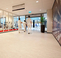 Forbo Marmoleum Marbled Real 3120 / 312035 Rosato фото 3 | FLOORDEALER